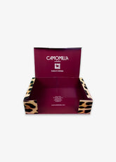 SCATOLA MEDIA